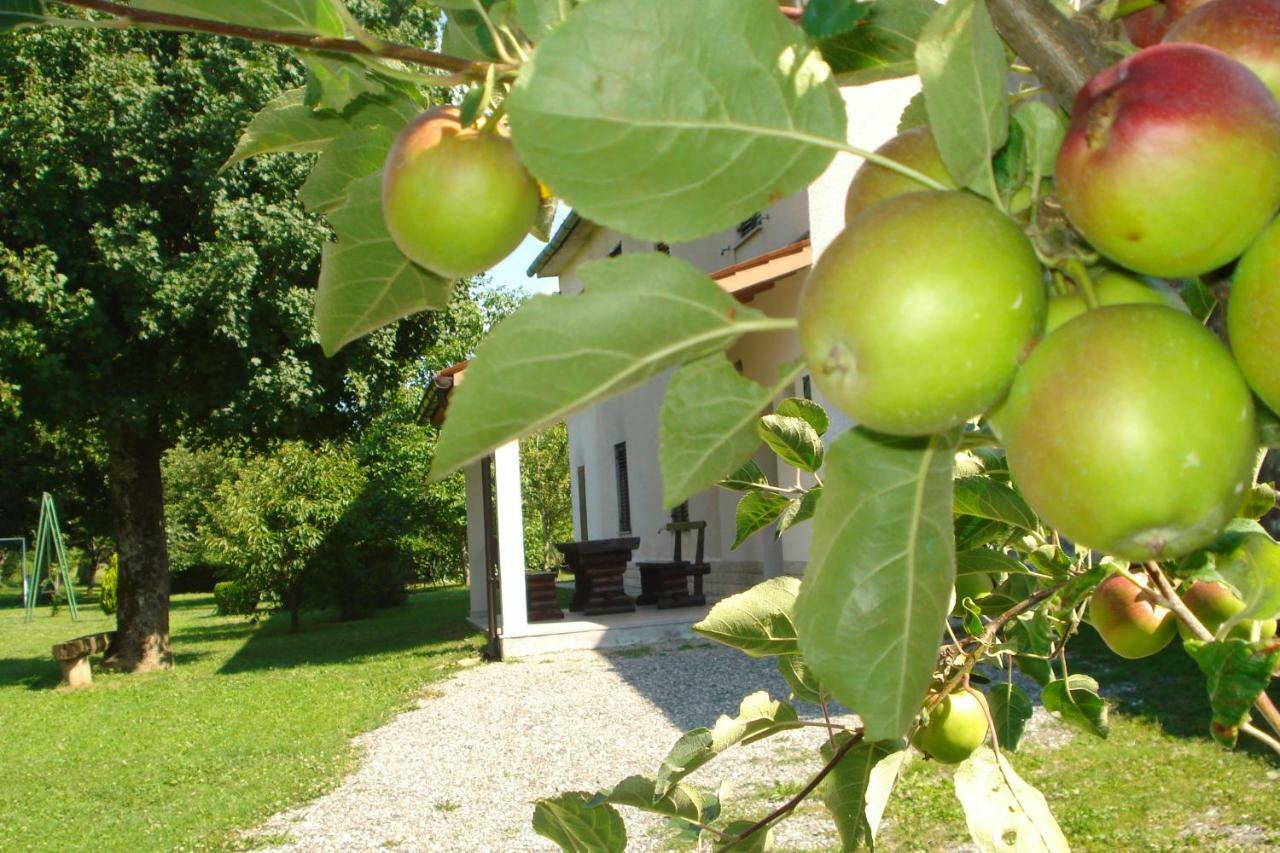 Apartmani Aldo Roč Esterno foto